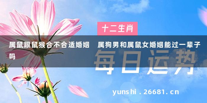 属鼠跟鼠猴合不合适婚姻 属狗男和属鼠女婚姻能过一辈子吗